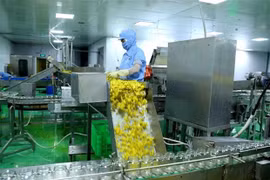 Destacan potencialidades de cooperación entre Vietnam-Malasia en recuperación pospandémica