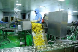 Destacan potencialidades de cooperación entre Vietnam-Malasia en recuperación pospandémica