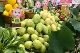 Efectuarán conferencia para favorecer exportaciones de Vietnam a Laos y Camboya