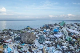 Debaten medidas para agilizar gestión sobre protección del entorno en Vietnam
