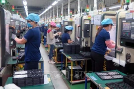 Trabajan por perfeccionar políticas y leyes sobre negocios responsables en Vietnam