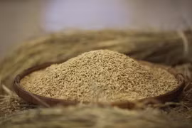 Tailandia podría ocupar segundo lugar en exportaciones de arroz este año