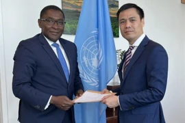 Reitera ONU apoyo a Vietnam en establecimiento de transición energética con G7