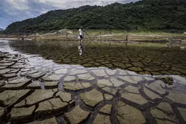 ASEAN responde proactivamente al cambio climático