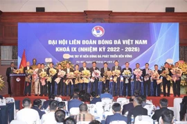Trabajan juntos por desarrollo sostenible de fútbol de Vietnam