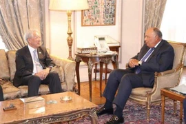 Egipto desea desarrollar relaciones con Singapur