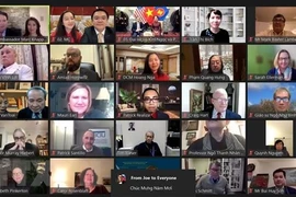Vietnamitas en Estados Unidos celebran programa artístico en ocasión del Tet 