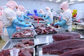 Tratados de libre comercio brindan oportunidades para exportación de atún vietnamita 
