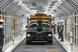 Vietnam busca desarrollar industria de vehículos eléctricos 