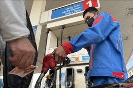 Laos trabaja por resolver crisis de combustibles