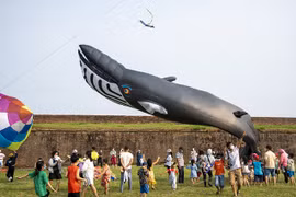 Festival de cometas gigantes en provincia central de Vietnam