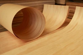 EE.UU. amplía conclusión de investigación sobre antielusión de madera contrachapada de Vietnam