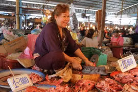 Laos prohíbe la importación de ciertos tipos de productos agrícolas