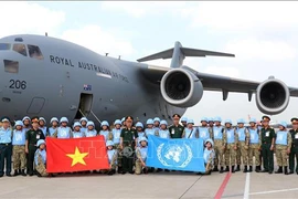 Vietnam, socio confiable para la paz, la cooperación y el desarrollo