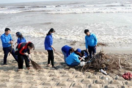 Vietnam se esfuerza por reducir la contaminación ambiental