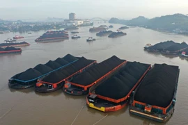 Indonesia frena sus exportaciones de carbón en enero