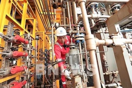 Costos de producción de empresa petrolera vietnamita disminuirán 12% este año