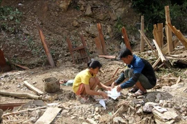 Cruz Roja de Vietnam recauda fondo a favor de pobladores afectados por inundaciones 