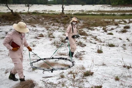 Limpian más de 25 mil hectáreas de terreno contaminado con bombas en Quang Tri