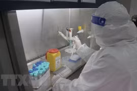 Ciudad Ho Chi Minh detecta tres casos de Ómicron en la comunidad