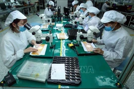 Exportaciones vietnamitas a Hungría poseen aún margen de crecimiento