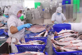 Pescado Tra, rubro de exportación con mayor crecimiento