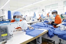 Ciudad Ho Chi Minh atrae 3,94 mil millones de dólares en 2022
