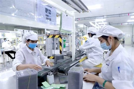 Vietnam aprueba programa de asistencia al desarrollo sostenible de empresas privadas