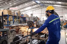 Industrias de Ciudad Ho Chi Minh necesitan trabajadores calificados