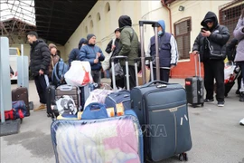 Embajada vietnamita asiste a vietnamitas evacuados de Ucrania a Alemania 