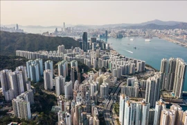 Consulado General de Vietnam en Hong Kong organiza actividades de conexión y cooperación 