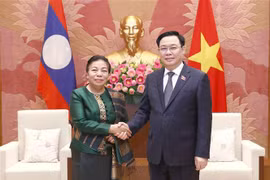 Abogan por consolidar gran amistad y cooperación integral entre Vietnam y Laos