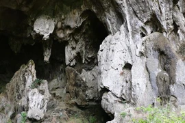 Pagoda de Hang Uc: valiosa reliquia de provincia vietnamita