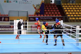  Selección vietnamita de kickboxing apunta a ganar medallas de oro
