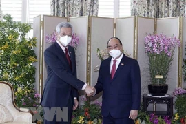 Vietnam y Singapur: modelo para el Sudeste Asiático, dice experto