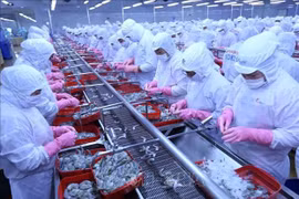 Ventas de productos acuáticos de Vietnam a Rusia registran fuerte repunte