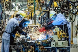 Vietnam sigue siendo imán para inversores gracias a la reapertura del turismo