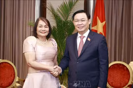 Vietnam y Filipinas promueven la cooperación interprovincial