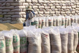 Nuevo paso para llevar marca de arroz vietnamita al mercado mundial