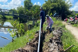 Hogares en zonas afectadas por intrusión salina en Ca Mau acceden a agua limpia