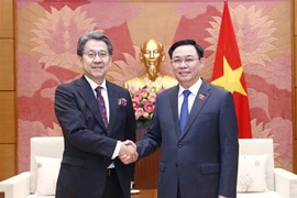 Dirigente parlamentario vietnamita recibe a presidente del Consejo Administrativo de JBIC