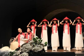 Divulgan cultura de Vietnam en Venezuela y San Marino