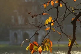 Hanoi entre destinos más bellos en mundo en otoño boreal, según CNN Travel