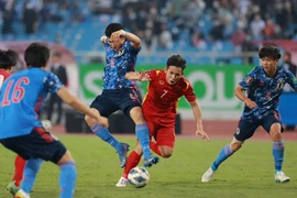 Agotadas entradas para partido de fútbol Vietnam- Japón en eliminatorias mundialistas