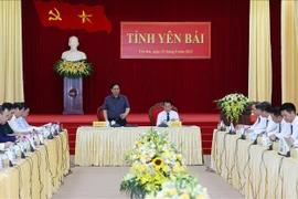 Inspeccionan labores anticorrupción en Ciudad Ho Chi Minh