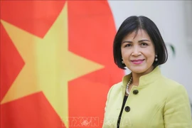Vietnam propone a OIT respaldar promoción del derecho al trabajo decente