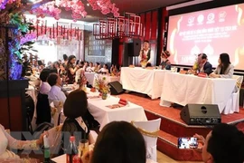 Celebrarán en Alemania concurso “Miss Damas de Ao Dai en Europa”