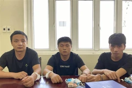 Desmantelan en provincia de Lao Cai línea organizadora de entrada ilegal a Vietnam