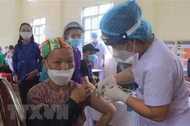 Disminuye número de infectados de COVID-19 en Vietnam