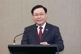 Vietnam y Nueva Zelanda dinamizan cooperación económica